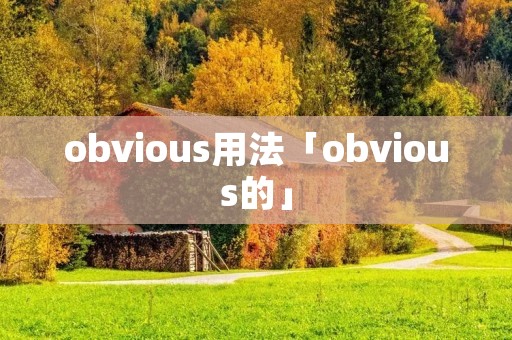 obvious用法「obvious的」 obvious用法「obvious的」
