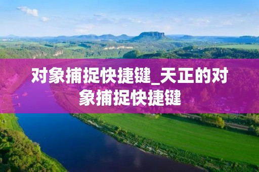 对象捕捉快捷键_天正的对象捕捉快捷键
