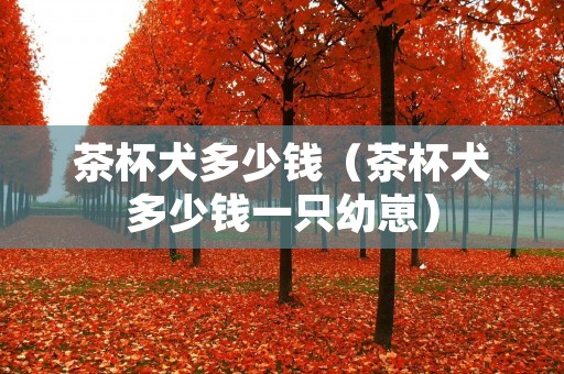 茶杯犬多少钱(茶杯犬多少钱一只幼崽) 茶杯犬多少钱(茶杯犬多少钱一只幼崽)