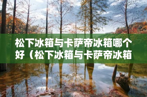 松下冰箱与卡萨帝冰箱哪个好（松下冰箱与卡萨帝冰箱哪个好用）