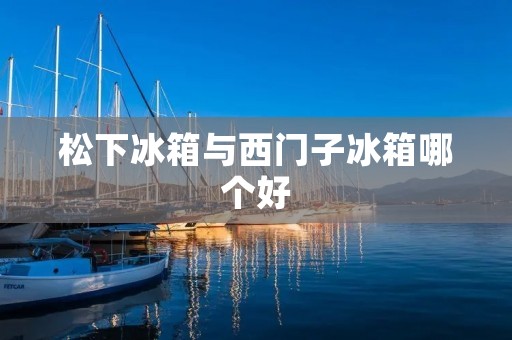 松下冰箱与西门子冰箱哪个好 松下冰箱与西门子冰箱哪个好