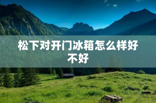 松下对开门冰箱怎么样好不好