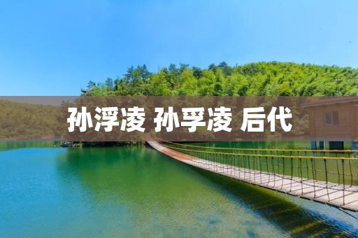 孙浮凌 孙孚凌 后代