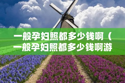 一般孕妇照都多少钱啊(一般孕妇照都多少钱啊游五行笔画) 一般孕妇照都多少钱啊(一般孕妇照都多少钱啊游五行笔画)