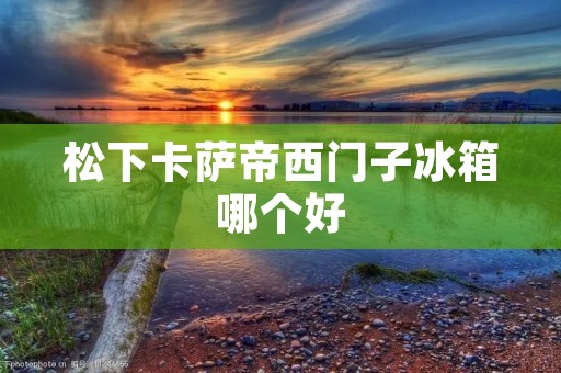 松下卡萨帝西门子冰箱哪个好