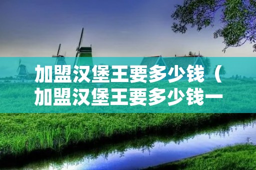 加盟汉堡王要多少钱（加盟汉堡王要多少钱一个月）