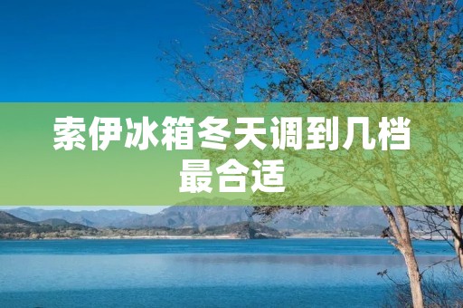 索伊冰箱冬天调到几档最合适