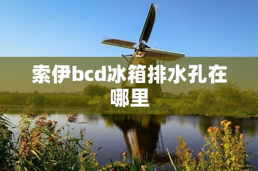 索伊bcd冰箱排水孔在哪里