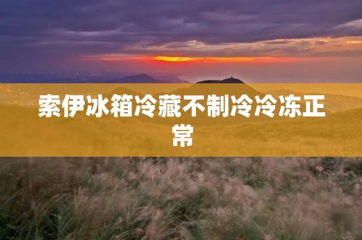 索伊冰箱冷藏不制冷冷冻正常
