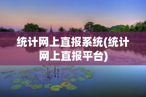 统计网上直报系统(统计网上直报平台) 统计网上直报系统(统计网上直报平台)