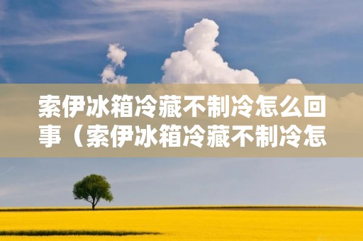 索伊冰箱冷藏不制冷怎么回事（索伊冰箱冷藏不制冷怎么回事视频）