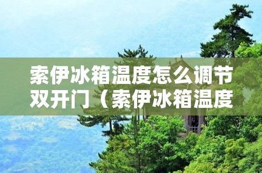 索伊冰箱温度怎么调节双开门（索伊冰箱温度怎么调节双开门开关）