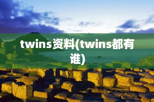twins资料(twins都有谁)
