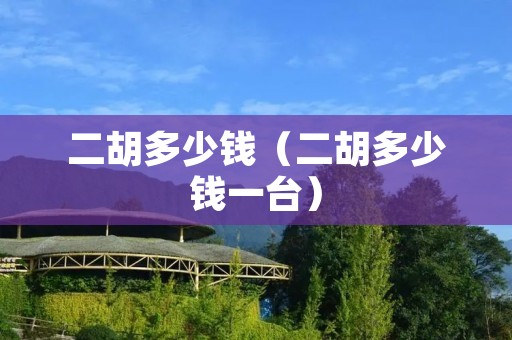 二胡多少钱（二胡多少钱一台）