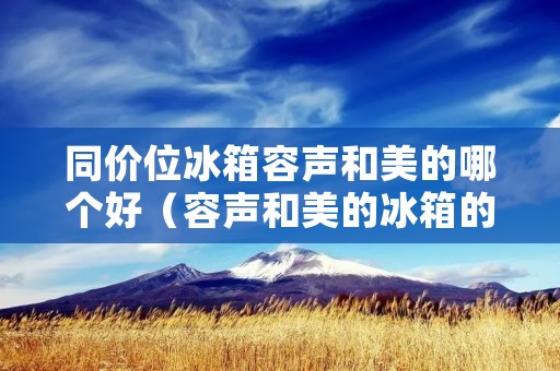同价位冰箱容声和美的哪个好(容声和美的冰箱的差距)
