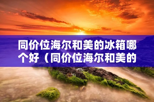 同价位海尔和美的冰箱哪个好(同价位海尔和美的冰箱哪个好些)