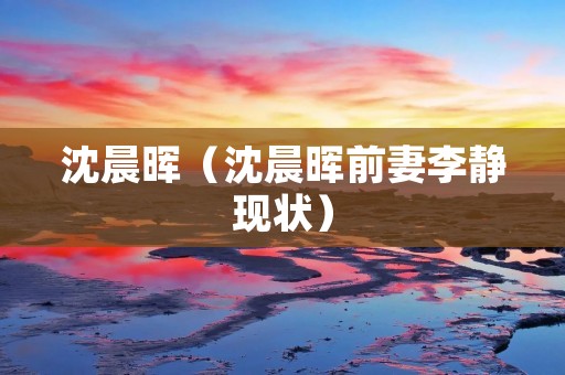 沈晨晖（沈晨晖前妻李静现状）
