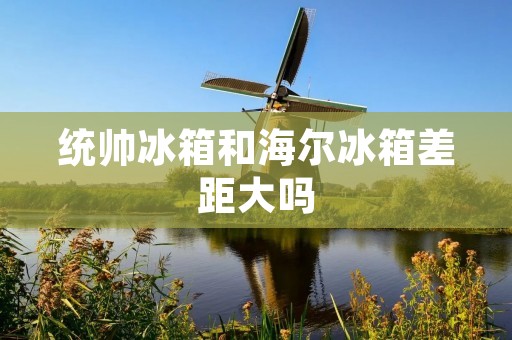统帅冰箱和海尔冰箱差距大吗
