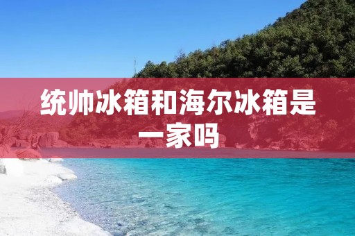 统帅冰箱和海尔冰箱是一家吗