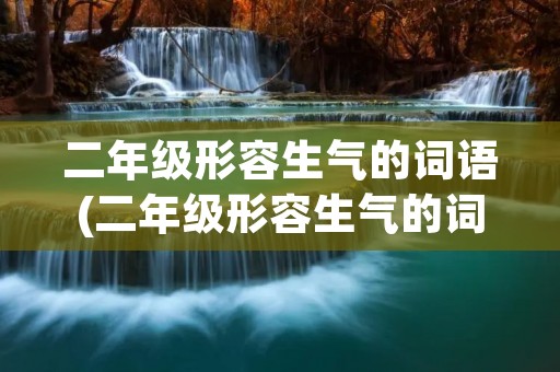 二年级形容生气的词语(二年级形容生气的词语有哪些)
