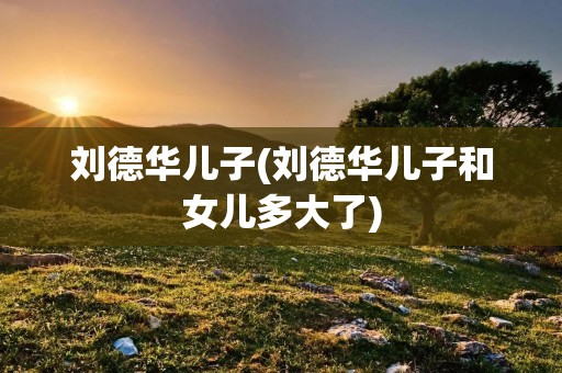 刘德华儿子(刘德华儿子和女儿多大了)