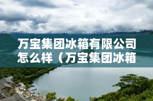 万宝集团冰箱有限公司怎么样(万宝集团冰箱有限公司怎么样知乎)