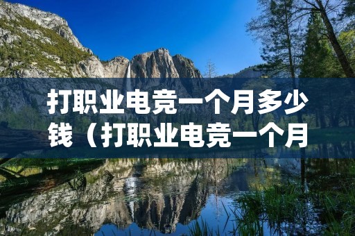 打职业电竞一个月多少钱（打职业电竞一个月多少钱 kpl）