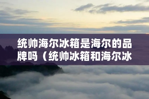 统帅海尔冰箱是海尔的品牌吗(统帅冰箱和海尔冰箱哪个质量好)