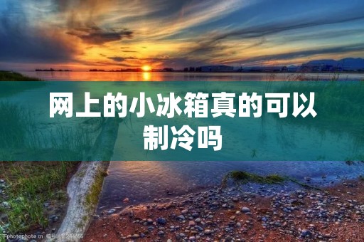 网上的小冰箱真的可以制冷吗