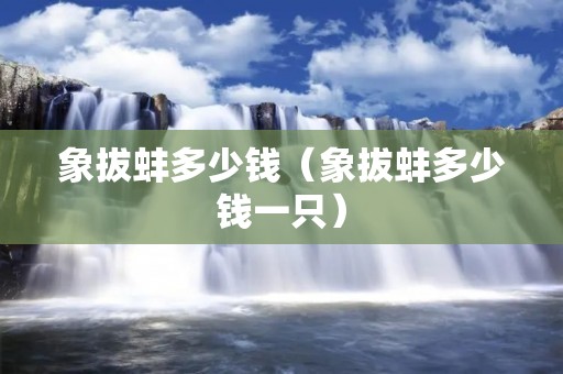 象拔蚌多少钱（象拔蚌多少钱一只）