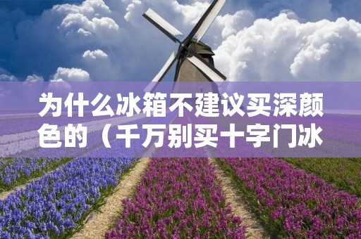 为什么冰箱不建议买深颜色的（千万别买十字门冰箱）