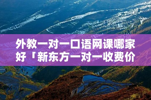 外教一对一口语网课哪家好「新东方一对一收费价格表」