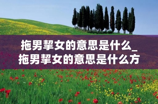 拖男挈女的意思是什么_拖男挈女的意思是什么方法是什么