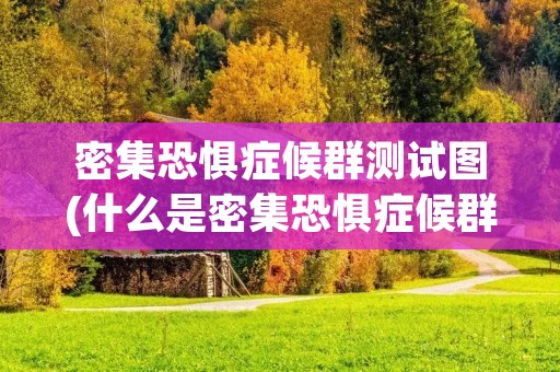 密集恐惧症候群测试图(什么是密集恐惧症候群)