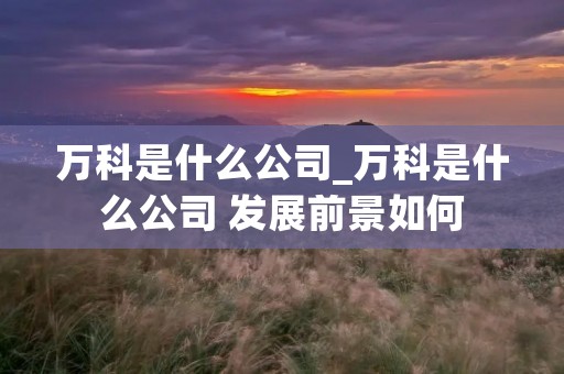 万科是什么公司_万科是什么公司 发展前景如何 万科是什么公司_万科是什么公司 发展前景如何