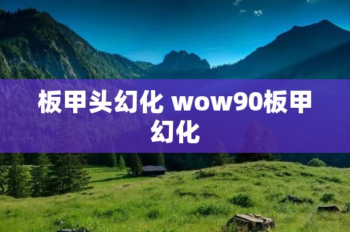 板甲头幻化 wow90板甲幻化 板甲头幻化 wow90板甲幻化