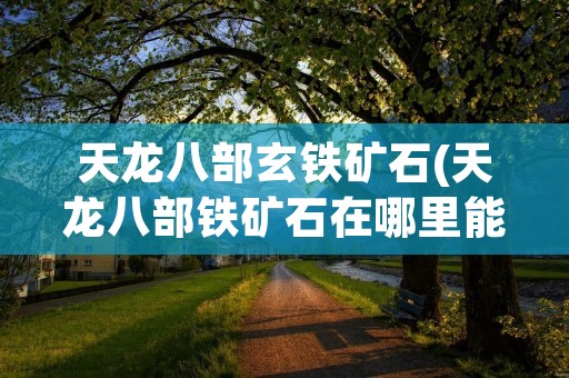天龙八部玄铁矿石(天龙八部铁矿石在哪里能买到)