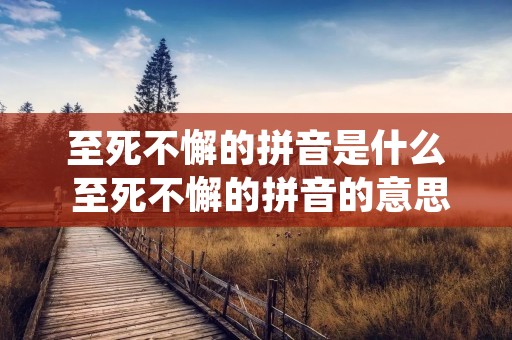 至死不懈的拼音是什么 至死不懈的拼音的意思