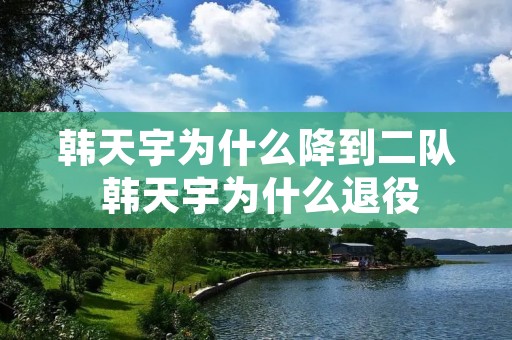 韩天宇为什么降到二队 韩天宇为什么退役