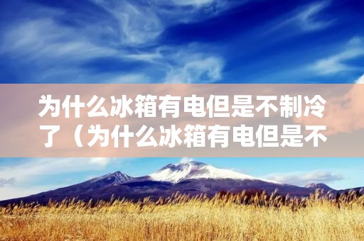 为什么冰箱有电但是不制冷了(为什么冰箱有电但是不制冷了呢)