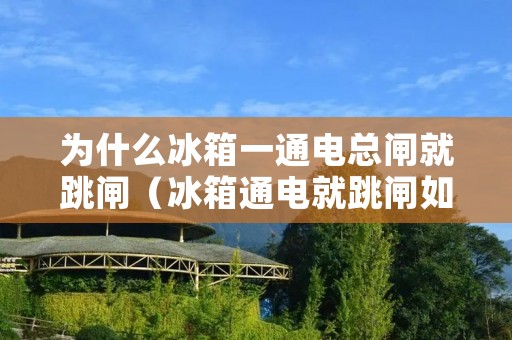 为什么冰箱一通电总闸就跳闸(冰箱通电就跳闸如何解决)