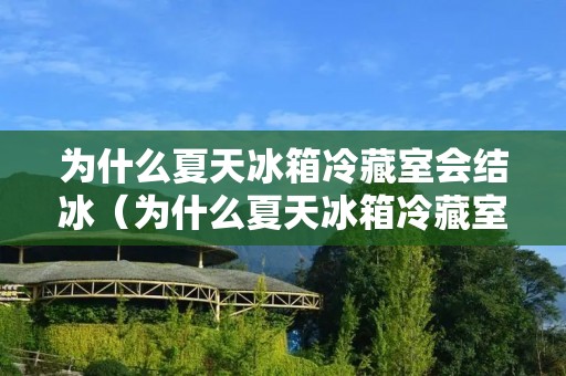 为什么夏天冰箱冷藏室会结冰(为什么夏天冰箱冷藏室会结冰)