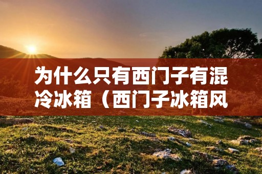 为什么只有西门子有混冷冰箱(西门子冰箱风冷和混冷哪个好)