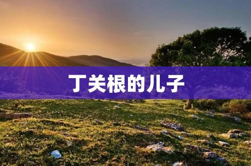 丁关根的儿子