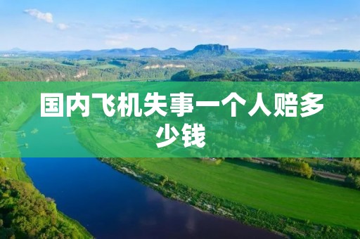 国内飞机失事一个人赔多少钱