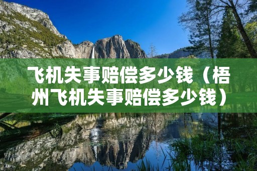 飞机失事赔偿多少钱(梧州飞机失事赔偿多少钱) 飞机失事赔偿多少钱(梧州飞机失事赔偿多少钱)