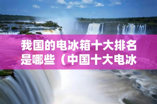 我国的电冰箱十大排名是哪些(中国十大电冰箱排名)