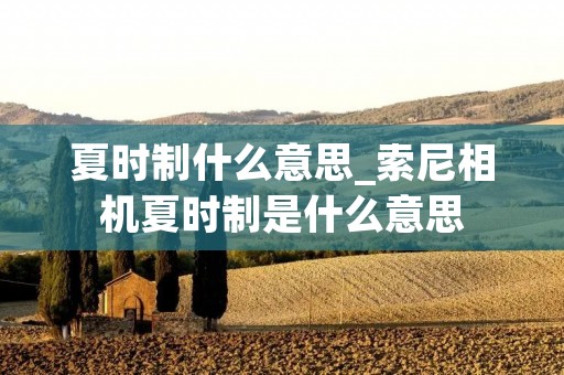 夏时制什么意思_索尼相机夏时制是什么意思