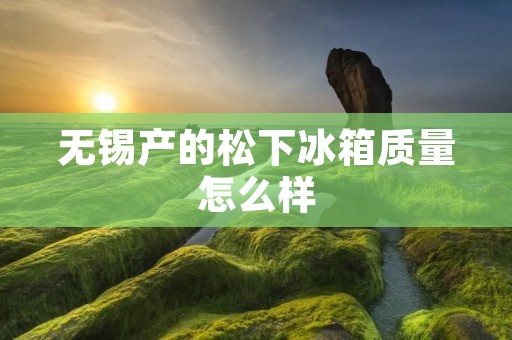 无锡产的松下冰箱质量怎么样