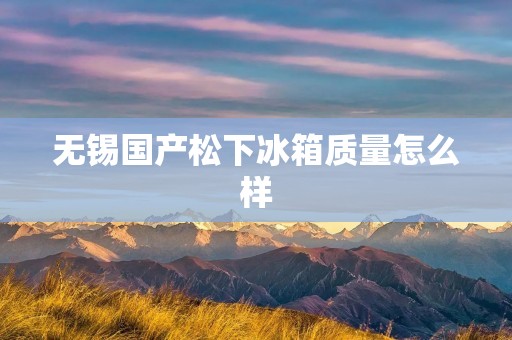 无锡国产松下冰箱质量怎么样